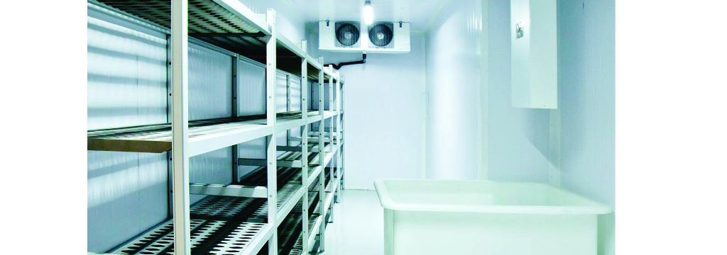 Cold Rooms and Freezer Rooms